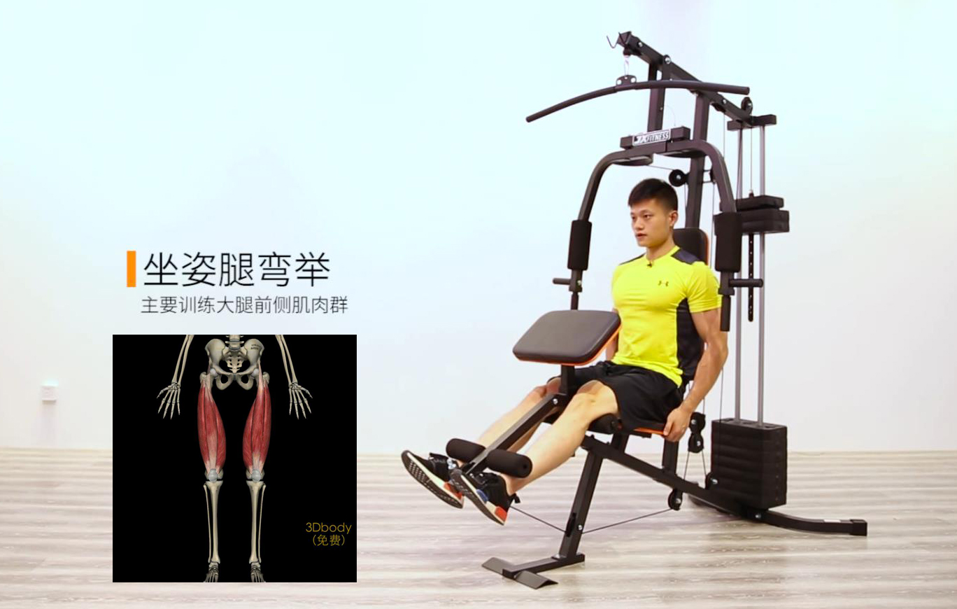 力量训练器械使用方法_综合力量训练器品牌_力量训练器具