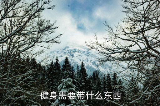 健身需要带什么东西
