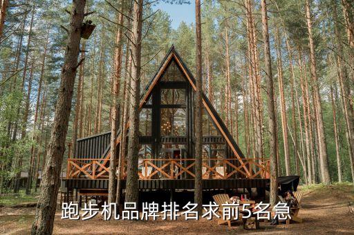 开元ky888棋牌官方版 跑步机品牌排名，跑步机品牌排名求前5名急