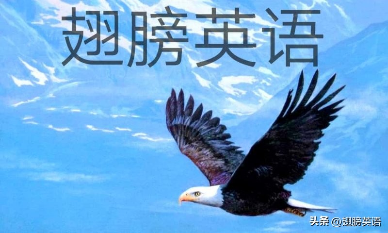 定语从句which例句_定语从句which练习_定语从句中which怎么翻译