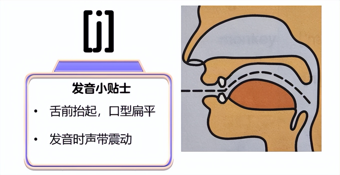 m_国际音标表发音及练习_国际音标辅音鼻音发音教程
