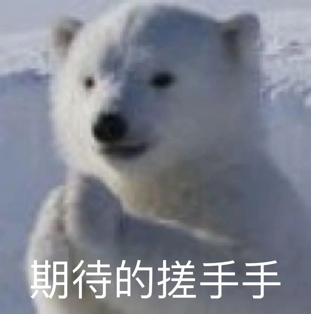 国产跑步机品牌推荐_麦瑞克小白犀2代评测_什么牌子跑步机好适合家用