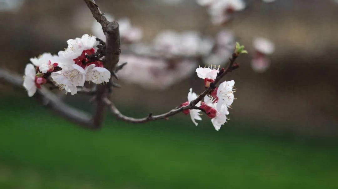 新闻稿写作技巧_深度报道_新闻稿件结构分析