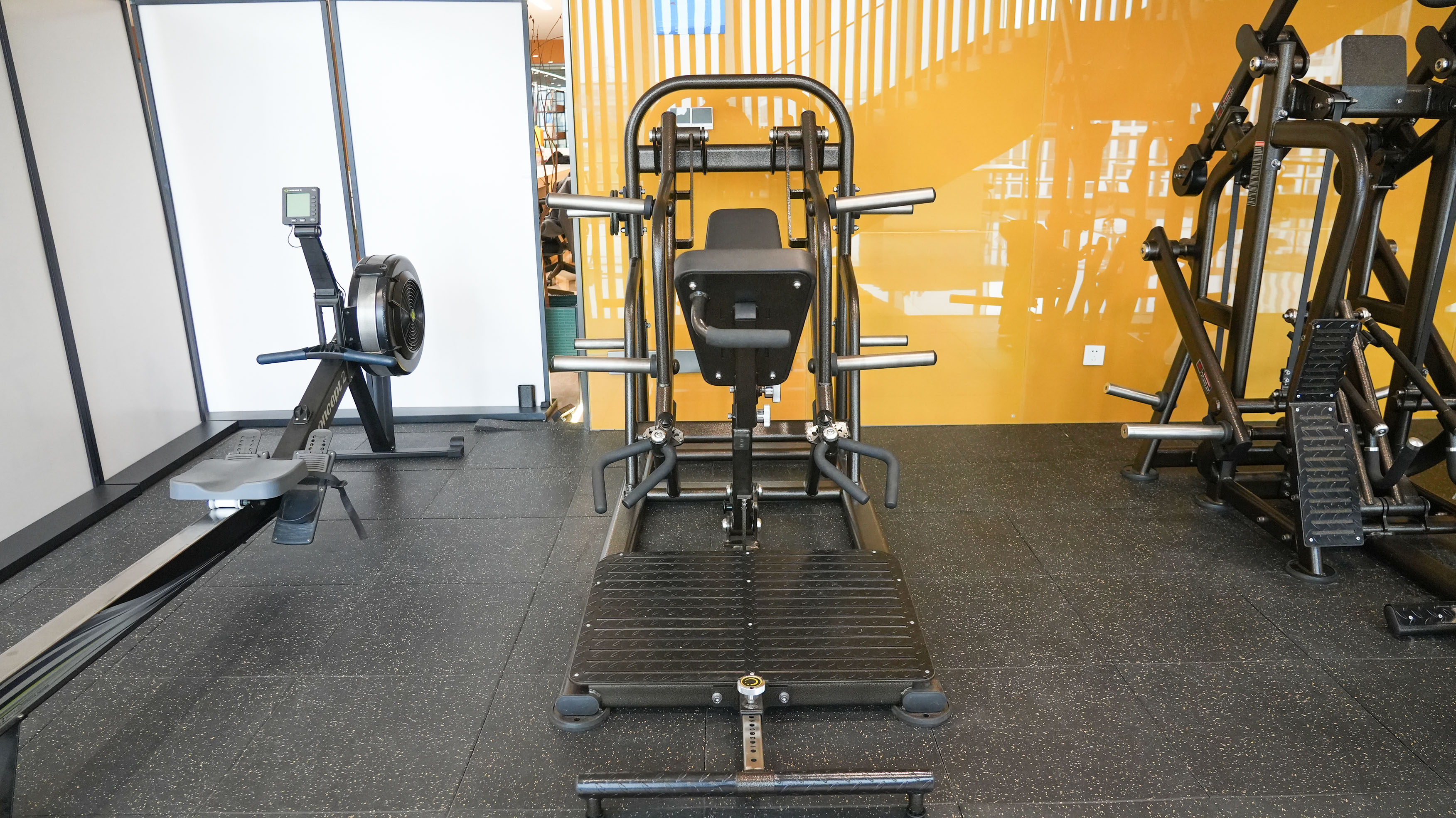 商用健身器材供应公司_国产跑步机什么牌子的好_全链路服务能力